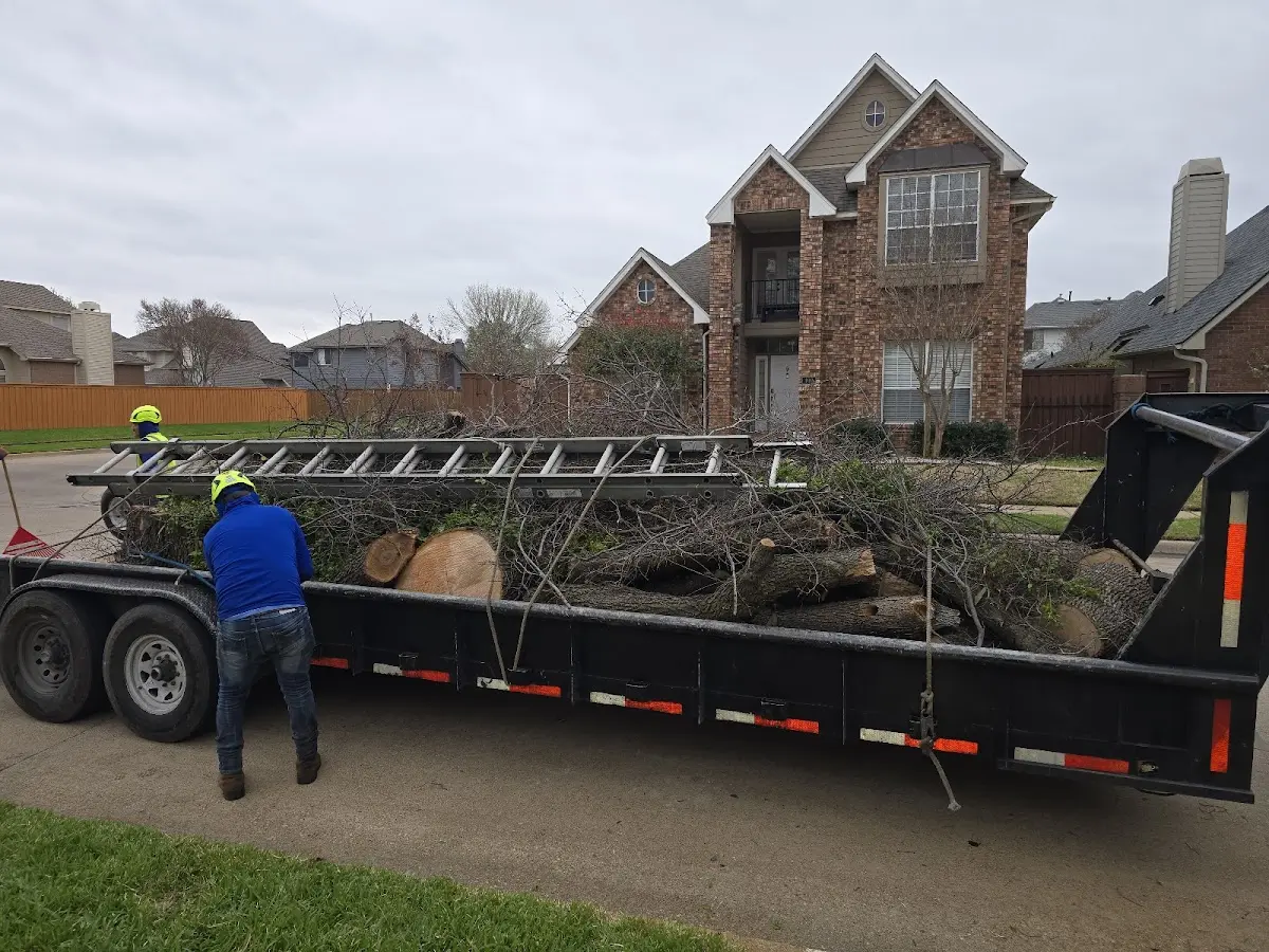 Expert Tree Removal with proper safety equipment in Voorhees